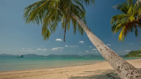 Day summer time phuket island famous palm beach panorama hd thailand Stock Footage 64565254