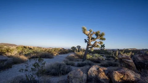 Day to sunset timelapse Stock Footage