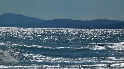 Day for surfers Stock Footage 205364250