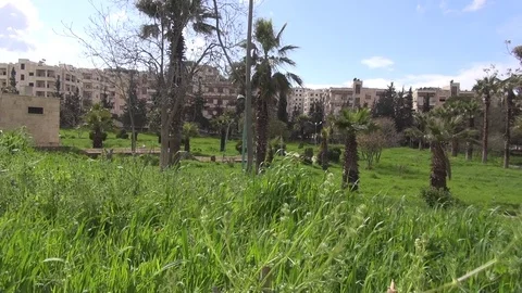 The day of the Syrian opposition control of Idlib Stock Footage 113676017