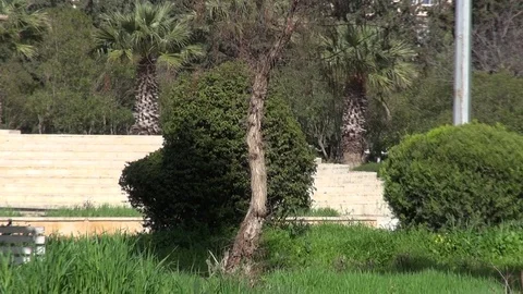 The day of the Syrian opposition control of Idlib Stock Footage 113676087