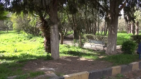 The day of the Syrian opposition control of Idlib 스톡 동영상 113676108