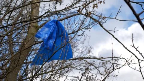 Day view closeup of young tree sprout polluted and covered with peace of plastic Photos
