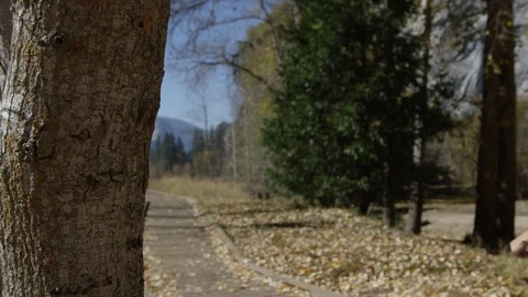 Day In Yosemite Park Video stock 87676645