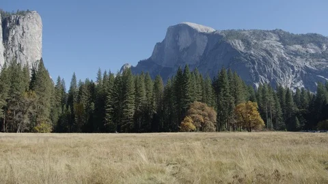Day In Yosemite Park Video stock 87676928