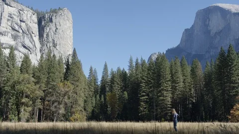 Day In Yosemite Park Video stock 87677156
