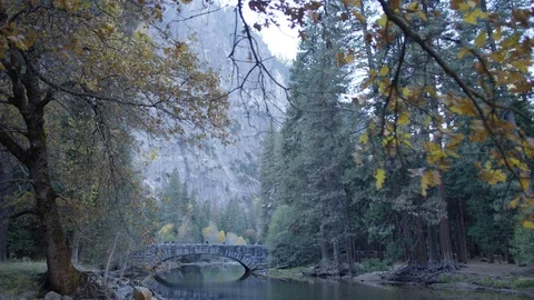 Day In Yosemite Park Video stock 87677355