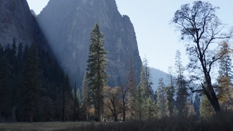 Day In Yosemite Park Video stock 87677687