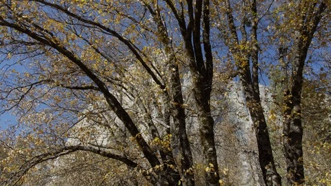 Day In Yosemite Park Stock Footage 87677909