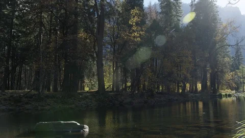 Day In Yosemite Park Stock Footage 87678561
