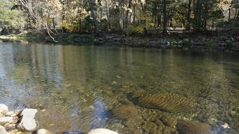 Day In Yosemite Park Stock Footage 87678699