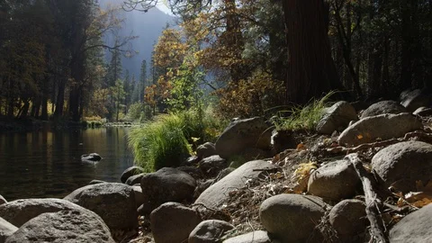 Day In Yosemite Park Stock Footage 87678880