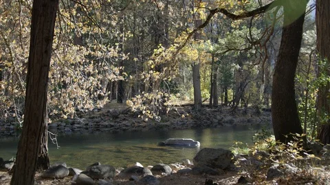 Day In Yosemite Park Stock Footage 87679191