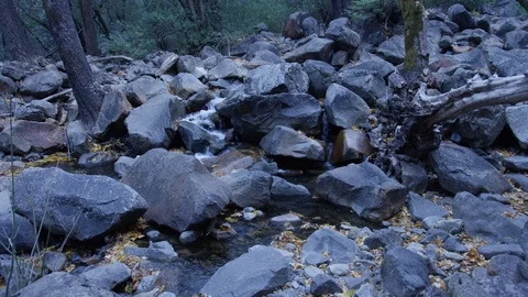 Day In Yosemite Park Stock Footage 87680021