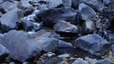 Day In Yosemite Park Stock Footage 87680112