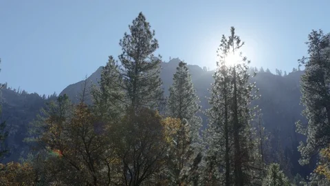 Day In Yosemite Park Stock Footage 87680791