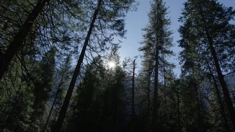 Day In Yosemite Park Stock Footage 87680936