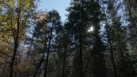 Day In Yosemite Park Stock Footage 87681013