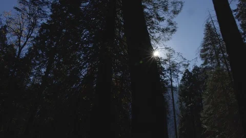 Day In Yosemite Park Stock Footage 87681124