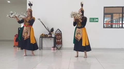 Dayak cultural heritage performance dance Stock Footage 336674851
