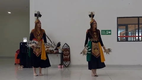 Dayak traditional dances Stock Footage 336674876