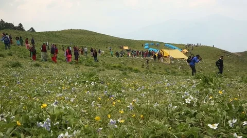 Dayara Bugyal,high altitude meadow in Upper Himalayas, Uttarakhand,India Stock Footage 106807722