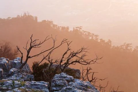 Daybreak landscape Stock Photos