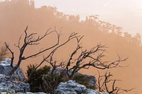 Daybreak landscape Stock Photos