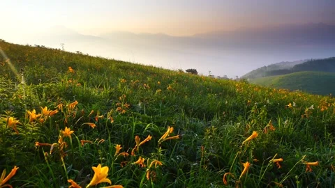 The Daybreak over the Nikko Kiso and the Mountain Ranges of Tateshina and Stock Footage 330987236