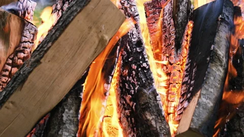 In daylight, a bright fire of burning wood burns in the tourist camp. Active Stock Footage 170234749