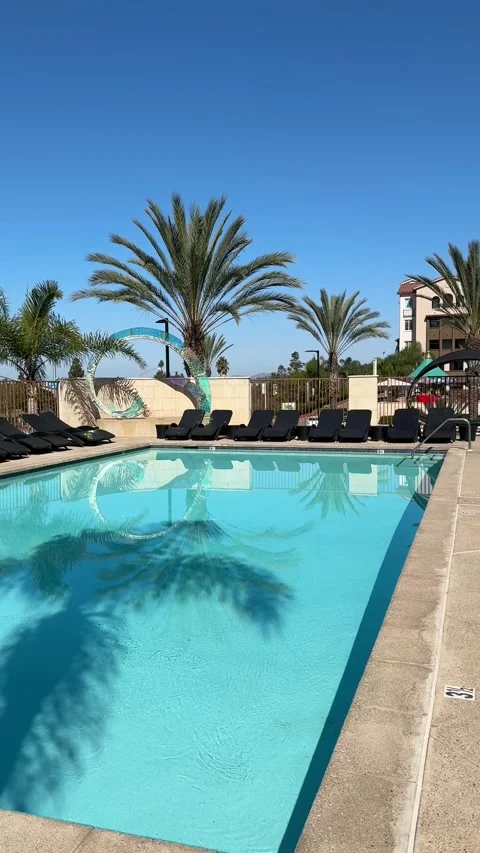 Daylight Delights: Poolside BBQ and Bonfire Stock Footage 254366002