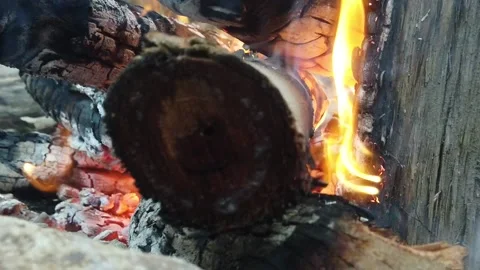 Daylight Fire Burning Gum Melting Stock Footage 137087585