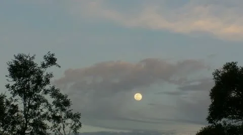 Daylight moon trees clouds Stock Footage 10901365