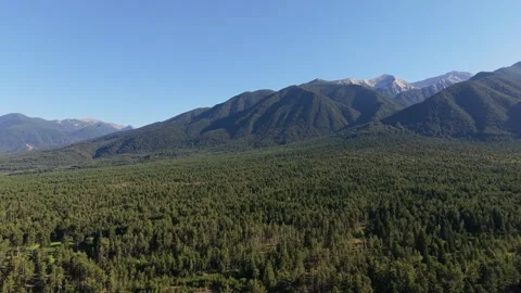 Daylight Mountain Peak and Forest View Bulgaria Stock Footage 343794112