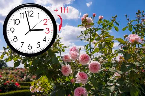 Daylight Saving Time (DST). Blue sky with white clouds and clock. Turn time f Stock Photos