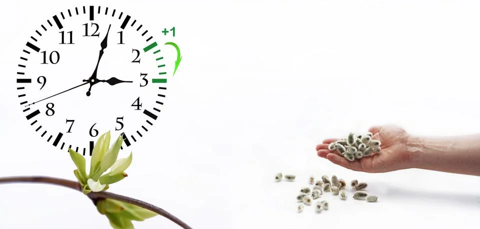 Daylight Saving Time. DST. Wall Clock going to winter time. Stock Photos