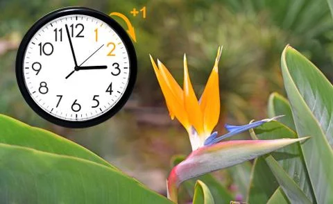 Daylight Saving Time. DST. Wall Clock going to winter time. Turn time forward Stock Photos