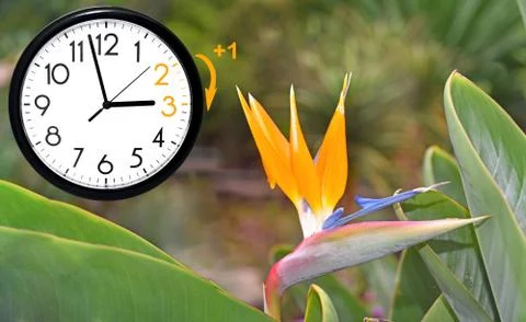 Daylight Saving Time. DST. Wall Clock going to winter time. Turn time forward Stock Photos