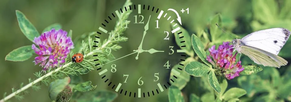 Daylight Saving Time. DST. Wall Clock going to winter time. Turn time forward Foto stock