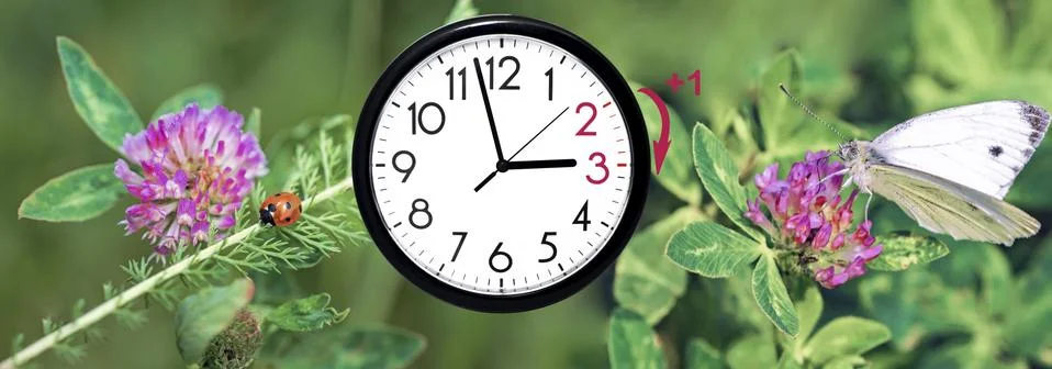 Daylight Saving Time. DST. Wall Clock going to winter time. Turn time forward Stock Photos