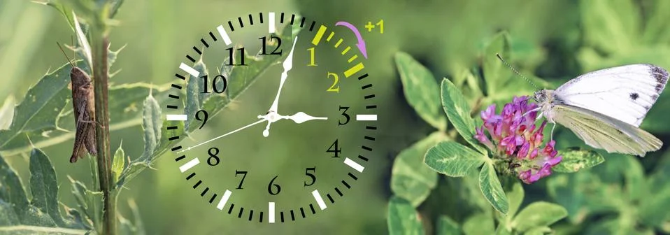 Daylight Saving Time. DST. Wall Clock going to winter time. Turn time forward Foto stock