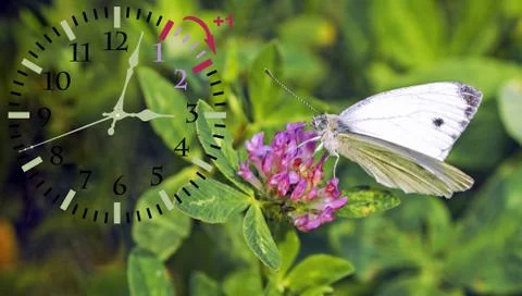 Daylight Saving Time. DST. Wall Clock going to winter time. Turn time forward Stock Photos