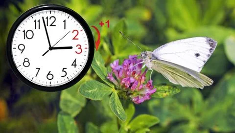 Daylight Saving Time. DST. Wall Clock going to winter time. Turn time forward Stock Photos