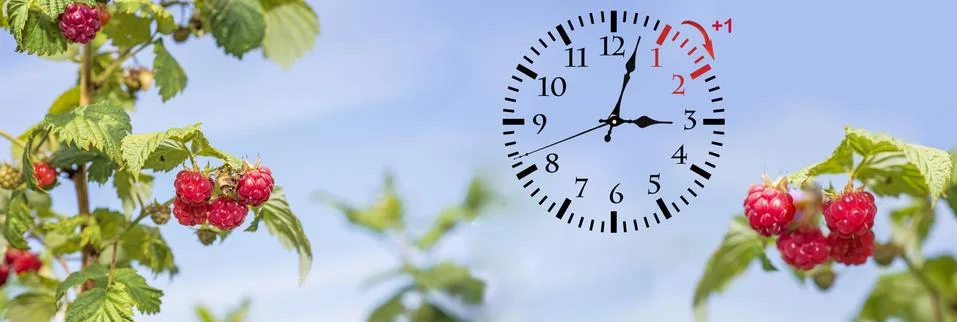 Daylight Saving Time. DST. Wall Clock going to winter time. Turn time forward Stock Photos