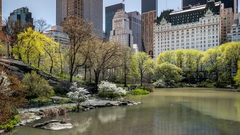 Daylight Timelapse Spring Color Over The Pond of Central Park South Stock Footage 123853084