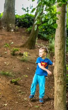 Daylight view. Boy playing at tree in forest 스톡 사진