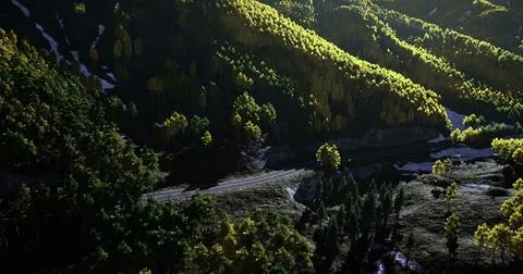 Daylight view of rolling hills, vibrant trees, and a winding road Ilustração Stock
