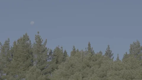Daylit Moon 4k Video stock 124555717