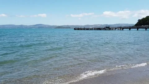 Days Bay And Ferry Wharf Stock Footage 131473953