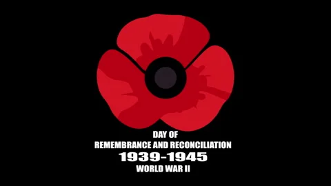Days Remembrance Reconciliation World War red poppy Video stock 336812452